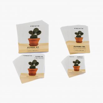 Imprimir flyers económicos