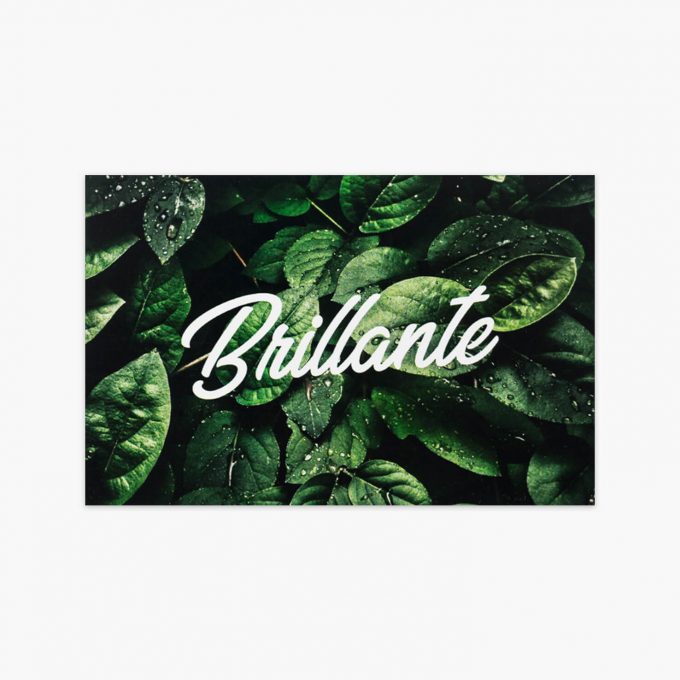 Papel couché brillante